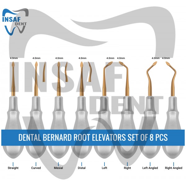 Dental Bernard Root Elevators Set of 8 Pcs