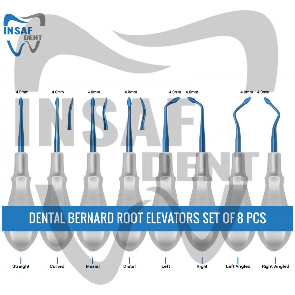 Dental Bernard Root Elevators Set of 8 Pcs