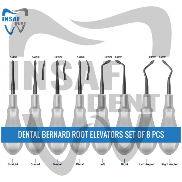 Dental Bernard Root Elevators Set of 8 Pcs