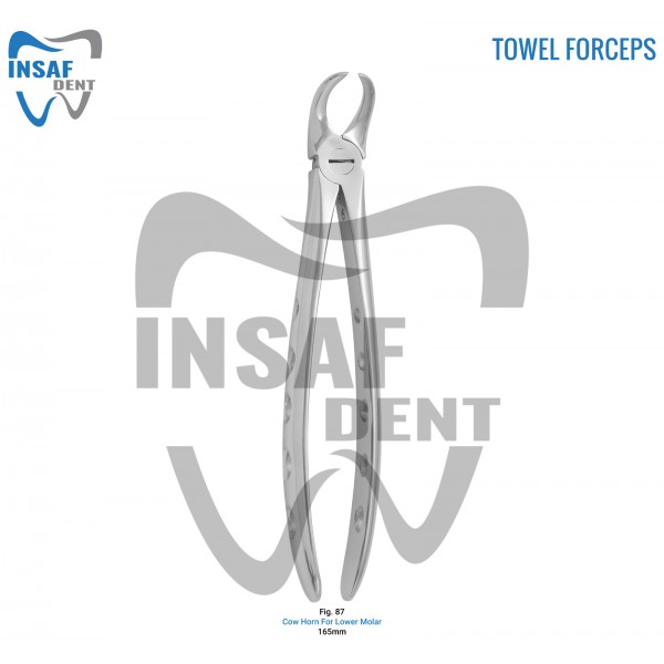 Towel Forceps